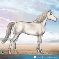 Horse Color:Perlino Mushroom Sabino 