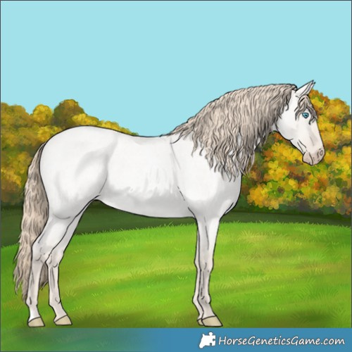 Horse Color:Smoky Creme Roan Dun