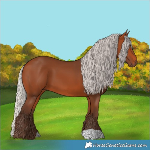 Horse Color:Silver Bay