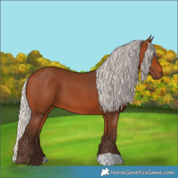 Horse Color:Silver Bay
