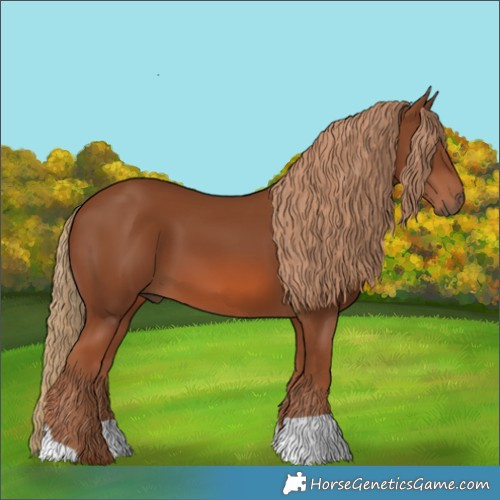 Horse Color:Chestnut 