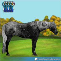 Horse Color:ERROR: UNKNOWN ANOMALY