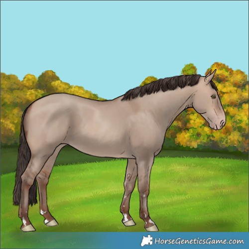 Horse Color:Sable Champagne Dun 