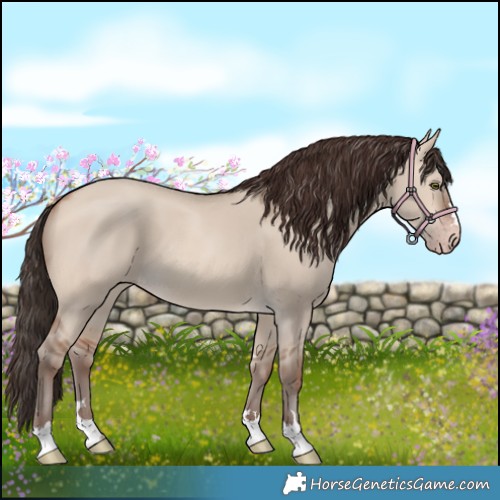 Horse Color:Amber Champagne Dun 