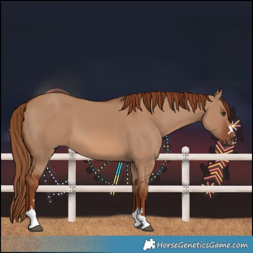 Horse Color:Red Dun 