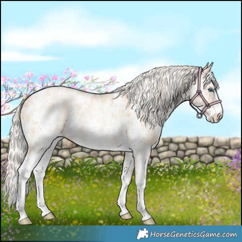 Horse Color:Cremello Dun Sabino  and Palomino Pearl Dun Sabino 