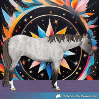 Horse Color:Smoky Grullo Roan Varnish