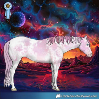 Horse Color:Watercolor White Spotted Buckskin Ice Pearl Tobiano Rabicano