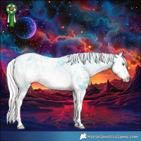 Horse Color:Watercolor White Spotted Silver Smoky Black Chinchilla Ice Splash Appaloosa 