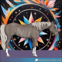 Horse Color:Silver Black Varnish Rabicano
