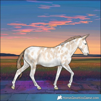 Horse Color:Perlino Dun Tobiano Appaloosa Brindle 