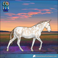 Horse Color:Perlino Dun Tobiano Near Leopard Brindle