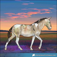 Horse Color:Powder White Buckskin Dun Tobiano Brindle 