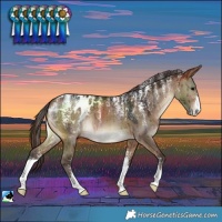Horse Color:Powder White Bay Dun Blanket Brindle 