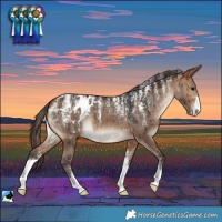 Horse Color:Powder White Bay Dun Appaloosa Brindle