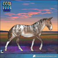 Horse Color:Powder White Bay Dun Blanket Brindle