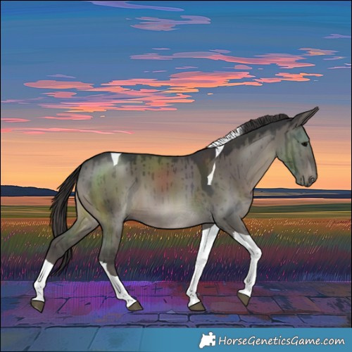 Horse Color:Smoky Grullo Tobiano Brindle 