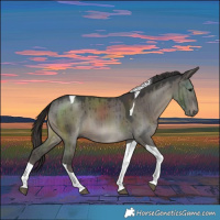 Horse Color:Smoky Grullo Tobiano Brindle 