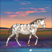Horse Color:Powder White Liver Red Dun Appaloosa 