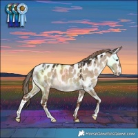 Horse Color:Powder White Liver Red Dun Leopard 