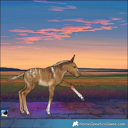 Horse Color:Powder White Chocolate Palomino Dun Brindle 