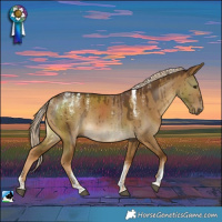 Horse Color:Powder White Chocolate Palomino Dun Brindle