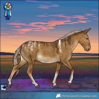 Horse Color:Powder White Chocolate Palomino Dun Brindle