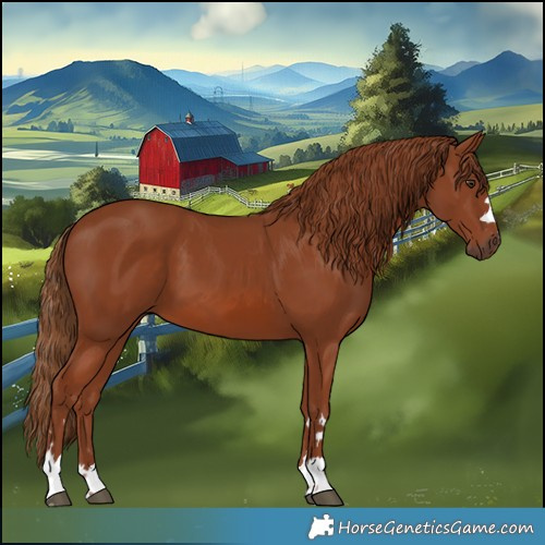 Horse Color:Chestnut 