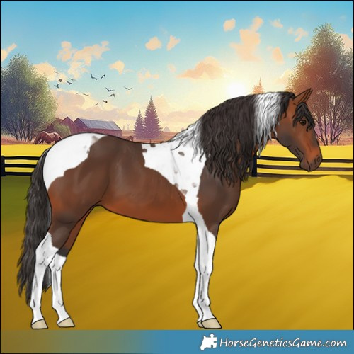 Horse Color:Bay Tobiano