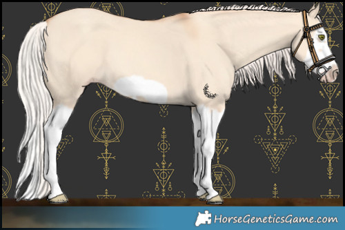 Horse Color:Silver Classic Champagne Dun Splash Frame 