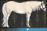 Horse Color:Silver Classic Champagne Dun Splash Frame 
