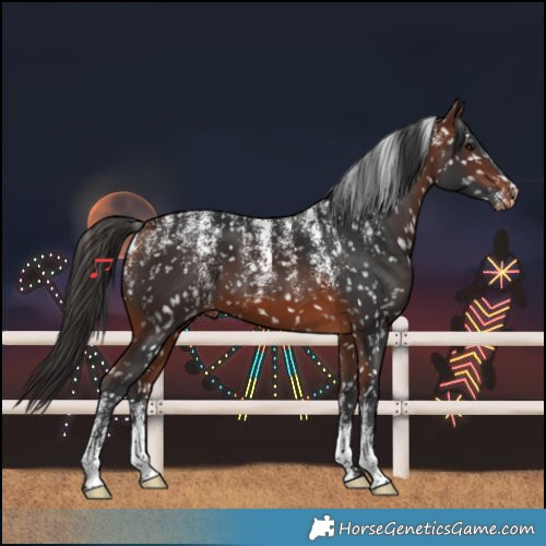 Horse Color:Powder White Bay Skewed LP Spotted 