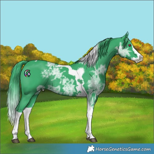 Horse Color:Watercolor Black Ice Splash Tobiano Rabicano 