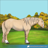 Horse Color:Palomino Dun 