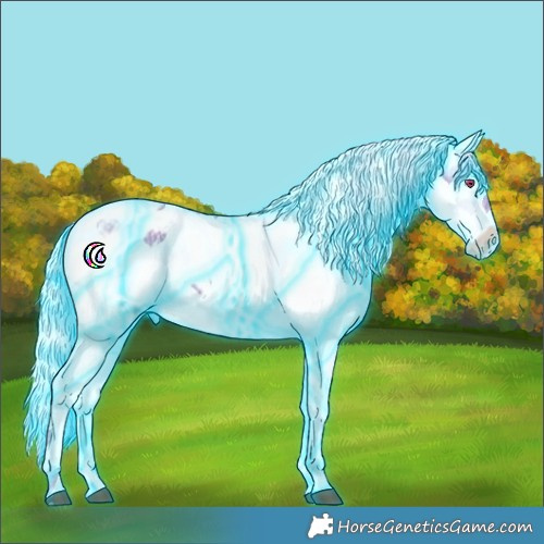 Horse Color:Thunderstruck Watercolor White Spotted Silver Black Ice Splash Appaloosa Rabicano 