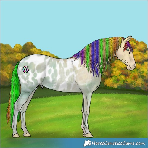 Horse Color:Painted Black Ice Snowdrop Pearl Appaloosa 