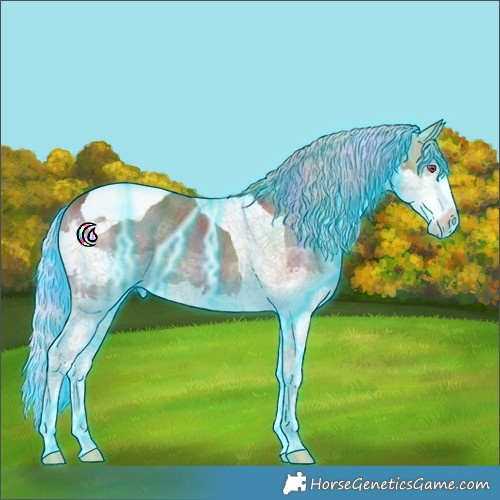 Horse Color:Nacre Thunderstruck Silver Brown Ice Splash Tobiano 