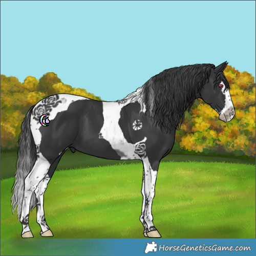 Horse Color:Black Splash Tobiano 