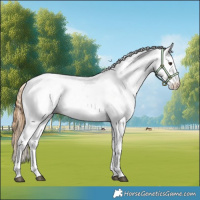 Horse Color:Chestnut Tobiano Fewspot 