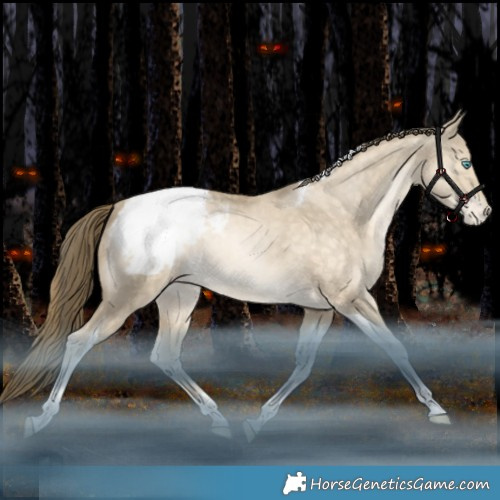 Horse Color:Brown Snowdrop Pearl Dun Tobiano Appaloosa Rabicano