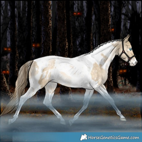 Horse Color:White Spotted Bay Snowdrop Pearl Dun Tobiano Appaloosa Rabicano 