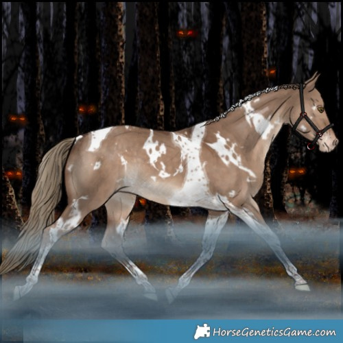 Horse Color:White Spotted Liver Red Dun Tobiano Appaloosa Rabicano 