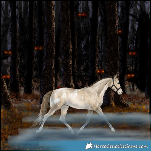 Horse Color:White Spotted Bay Snowdrop Pearl Rabicano 