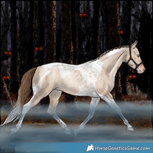 Horse Color:Brown Pearl Dun Tobiano Appaloosa Rabicano