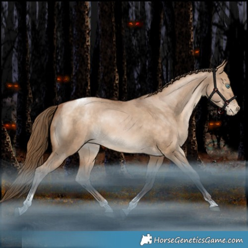 Horse Color:Bay Pearl Dun Tobiano Rabicano