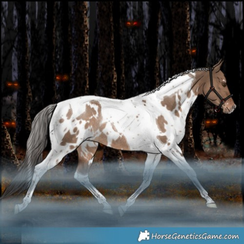 Horse Color:White Spotted Liver Red Dun Tobiano Rabicano 