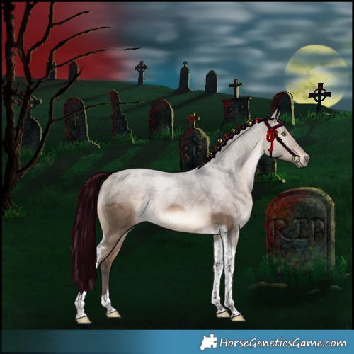 Horse Color:Brown Dun Tobiano Rabicano