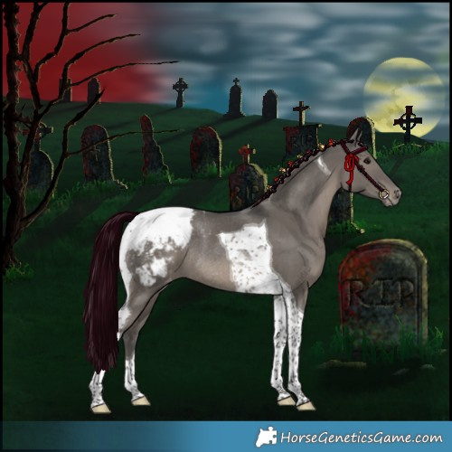 Horse Color:Grullo Tobiano Appaloosa Rabicano 