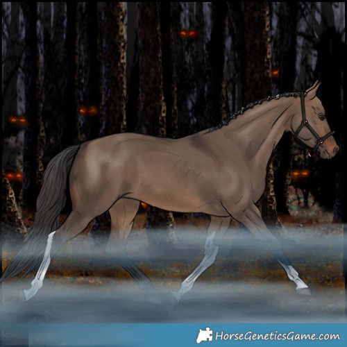 Horse Color:Brown Dun Tobiano Rabicano 