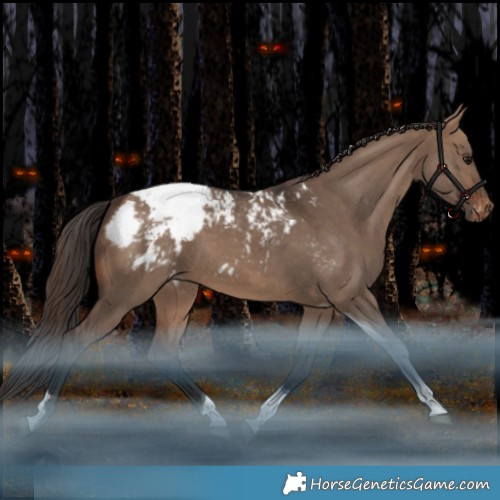 Horse Color:Brown Dun Tobiano Appaloosa Rabicano 